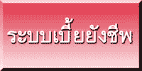 ระบบเบี้ยยังชีพ